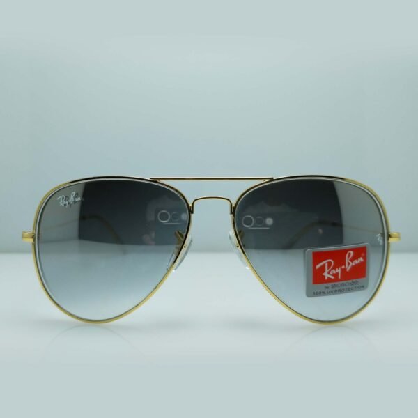 randolph sunglass